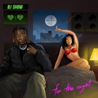 FOR THE NIGHT - Single - Bj Show