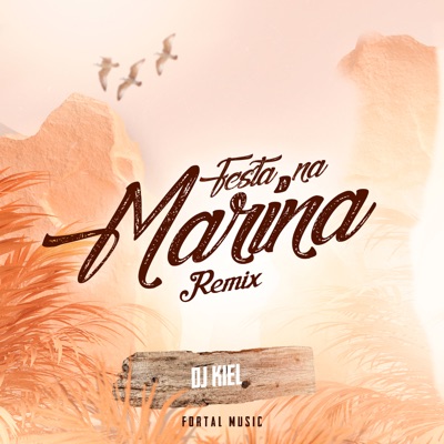 Festa na Marina (feat. Mc Dricka) [Remix] - Single
