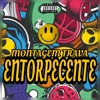 Montagem Trava Entorpecente - Single