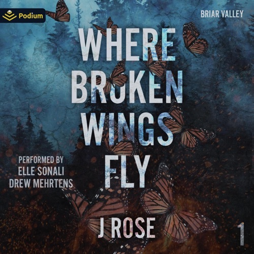 Where Broken Wings Fly: Briar Valley, Book 1 (Unabridged) cover