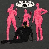 Are You Having Fun? - Loljamie