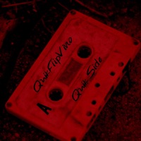 QUIK SIDE - QuikFlipVino