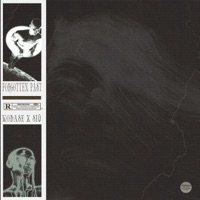 Forgotten Past - Single - Wobase