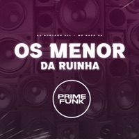 Os Menor da Ruinha - Single - DJ Surtado 011 & MC Rafa 22