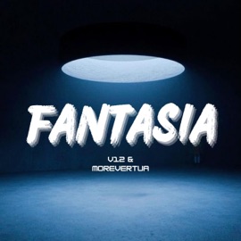 FANTASIA V12 & More Vertua
