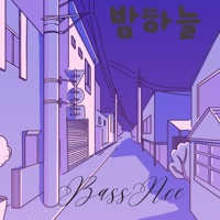 Night Sky (feat. Little Girls) - Single - BassAce