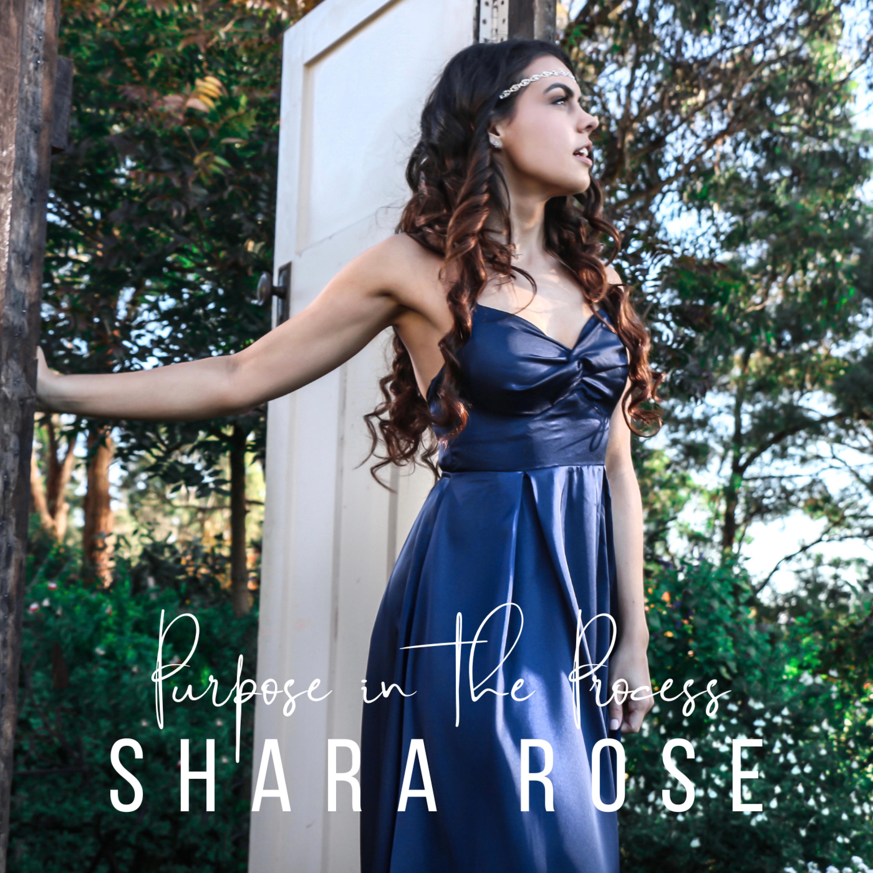 Purpose in the Process - Single