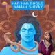 Har Har Bhole Namah Shivay Single