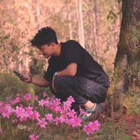 JANEMAN UKELELE (feat. CHATU BABA & KULDEEP) - Single - CHATMAX