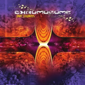 Cover art for Dmt Cowboys by Chromosome