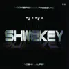 Yaakov Shwekey - Omar