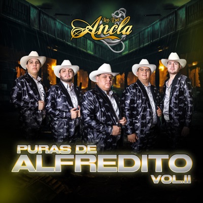 Puras de Alfredito, Vol. 2
