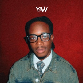 DREAM Yaw & MOSES CGB