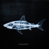 Bad 2 Da Bone - FUFU