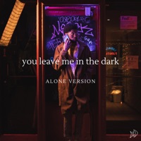 you leave me in the dark (alone version) - Single - LaSalle Grandeur