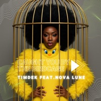 Caught You by the Birdcage (feat. Nova Lune) - Single - Timdek