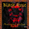 Rosiloa Ancient Pulse - Black Rose