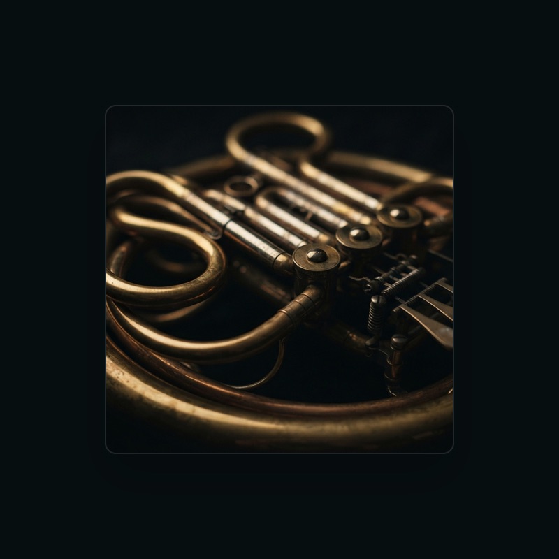 Das Große Klassik Orchester
