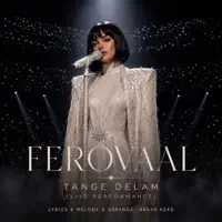 tange delam — ferovaal
