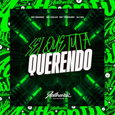 Sei Que Tu Ta Querendo (feat. DJ W5, MC Tesouro & MC Kaluz) - Single