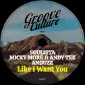Like I Want You