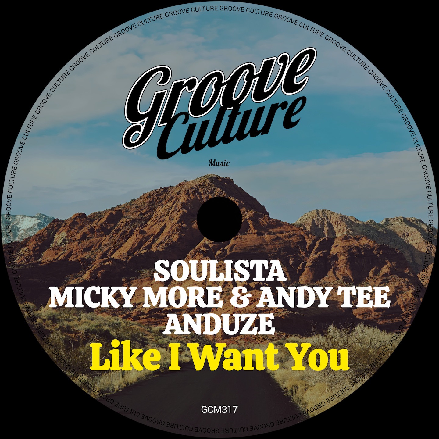 Like I Want You (Edit) - Single