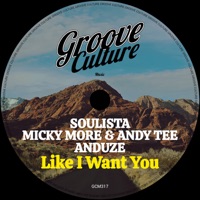 Like I Want You