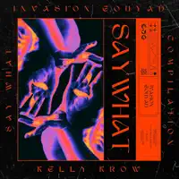 Say What — Kelly Krow