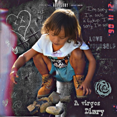 A Virgos Diary