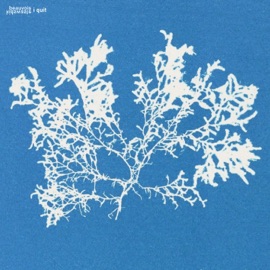 i quit (feat. Beauvois) Kidswaste