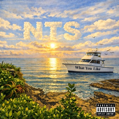 What You Like (feat. Boogz) - Single