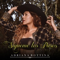 Nunca Voy a Olvidarte