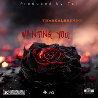 Wanting you (feat. Beatsbytui) - Single - ThaRealBrenzo