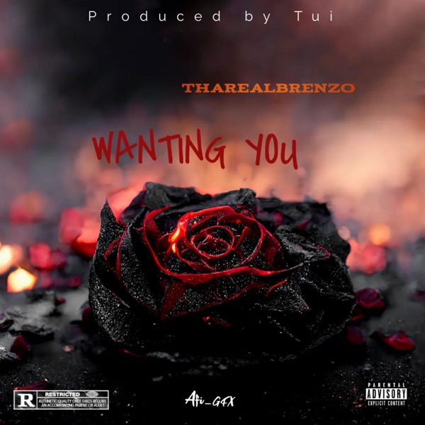 Wanting you (feat. Beatsbytui)