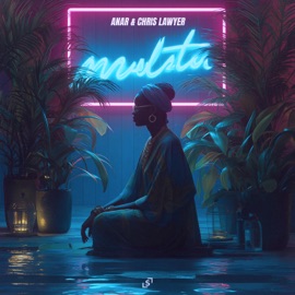 Mulata (Extended Mix) ANAR & Chris Lawyer