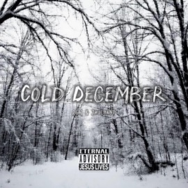 Cold December (feat. 2holyantt) RG.1