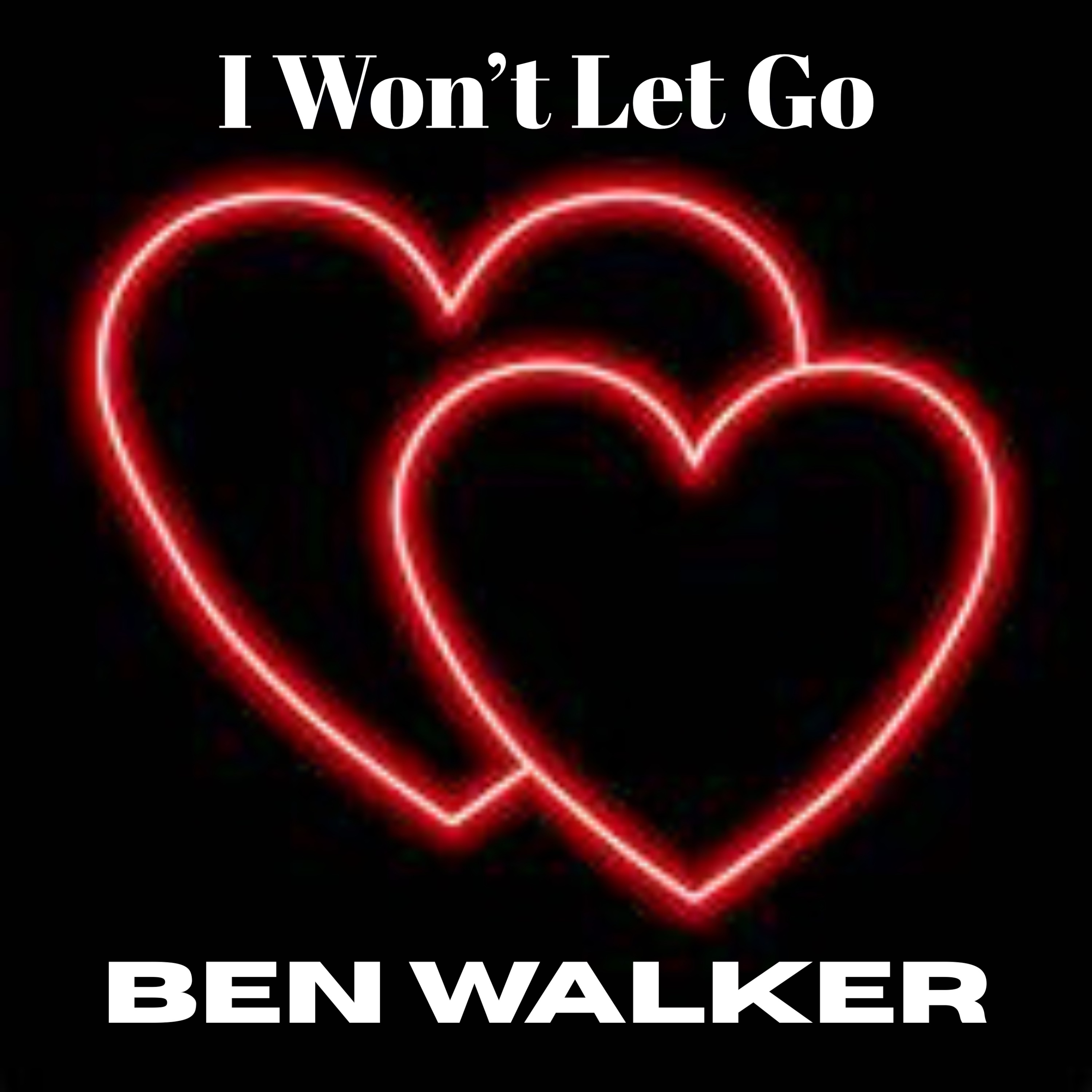 I Won't Let Go - Single