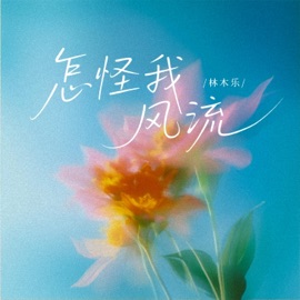 怎怪我风流 林木乐