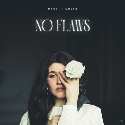 No Flaws - Single