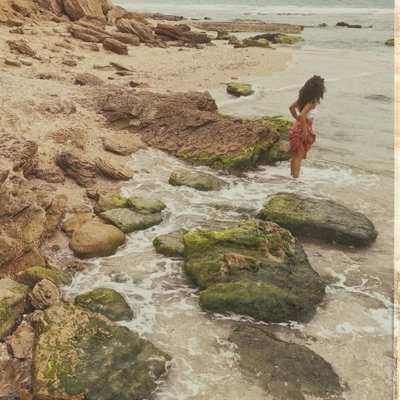 פלמחים - Single