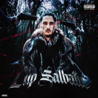 Lup Sălbatic - Single - Vali Miron
