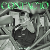Contacto (feat. WHTEGOLD) - Single - M96