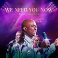 We Need You Now 
