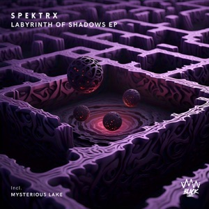 Labyrinth Of Shadows EP - Single