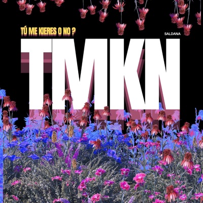 Tú ME KiERES o NO ? - Single