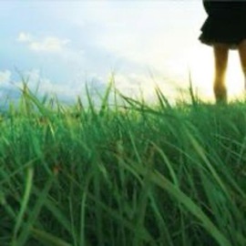 fallen (feat. alyorra) neohn