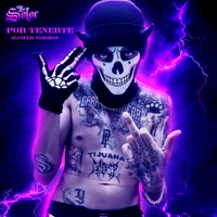 Por Tenerte (Slowed Version) - Single - The Seler