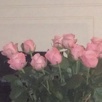 Антидепресант (feat. нестор) - Single - Hate Optimists