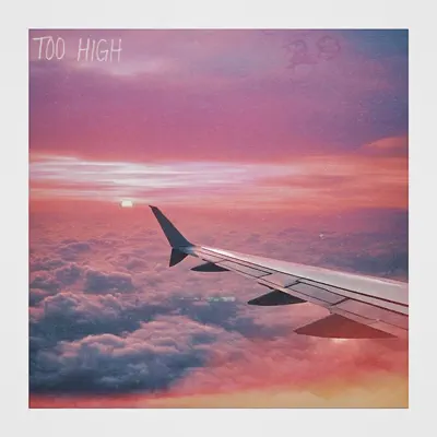 Teddy Fontana adlı sanatçının Too High - Single albümünü dinle