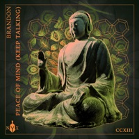 Peace of Mind (Keep Talking) - Single - BRANDON